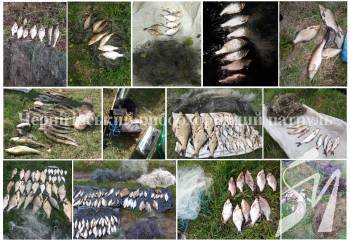 ������������ ������������� �������� � ������ �������� 290 �� ��������� ������ ���� � 6 �� ����